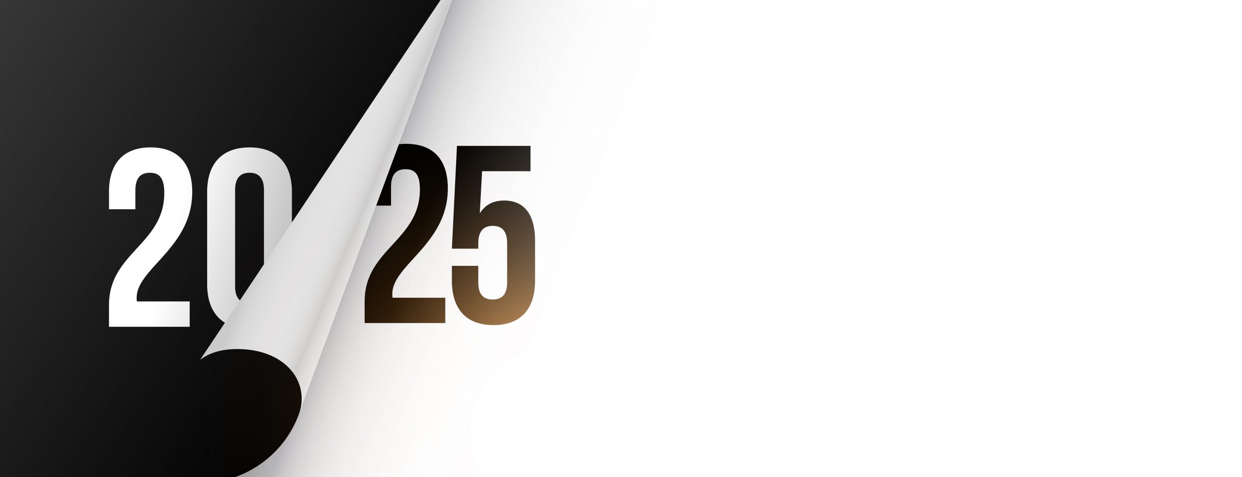 Tous nos meilleurs vœux pour 2025